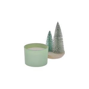 Sonoma Goods For Life Sisal Trees Balsam Fir 11-oz. 2-Wick Candle Dish