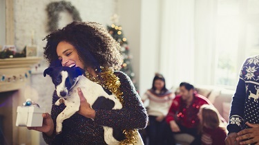 Best Cyber Monday Deals for Pets and Pet Owners